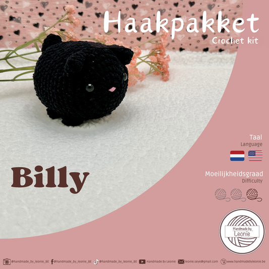 BILLY (Small cat collection) - Haakpakket